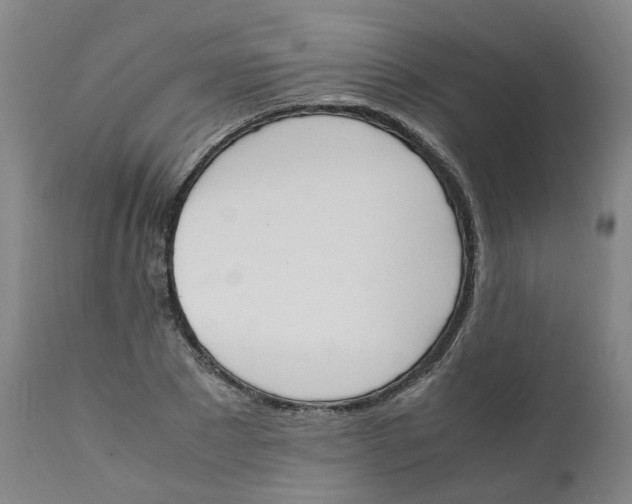 X0000111250881200907231550