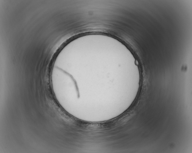 X0000111250883200907231550