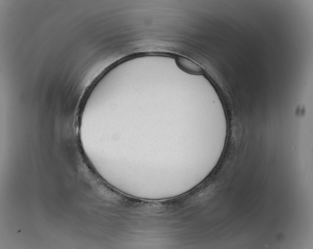 X0000111250885200907231550