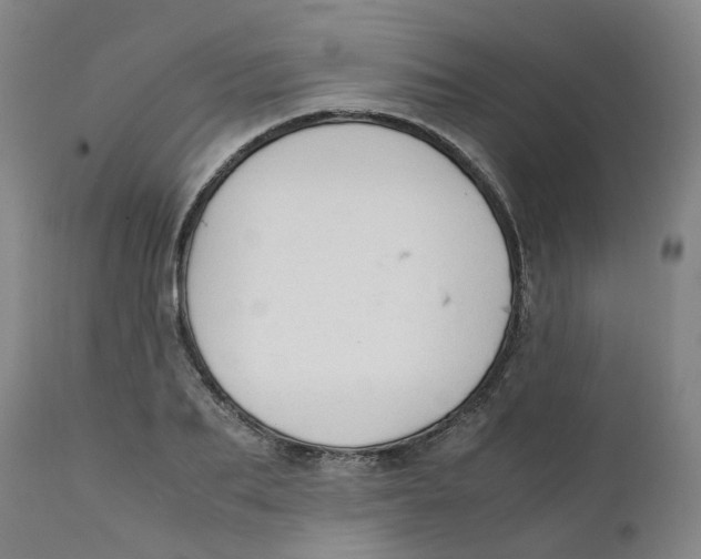 X0000111250887200907231550