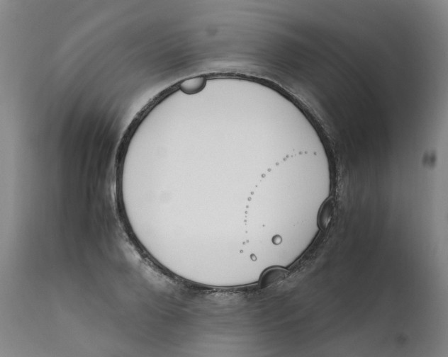 X0000111250888200907231550