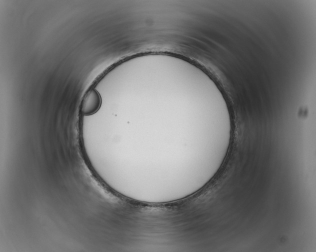 X0000111250894200907231550