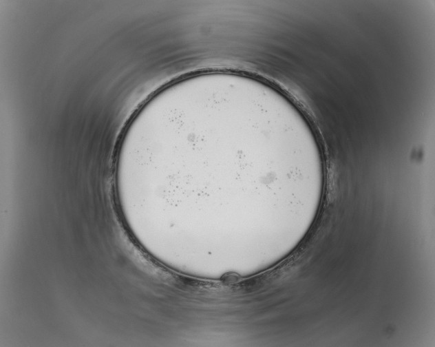 X0000111250895200907231550