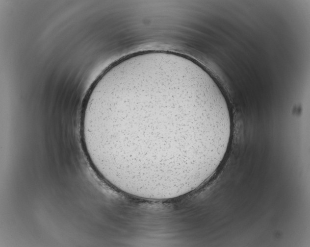 X0000111250896200907231550