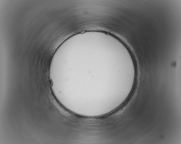 X0000111250897200907231550