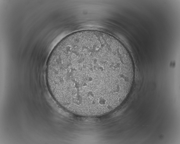 X0000111250899200907231550