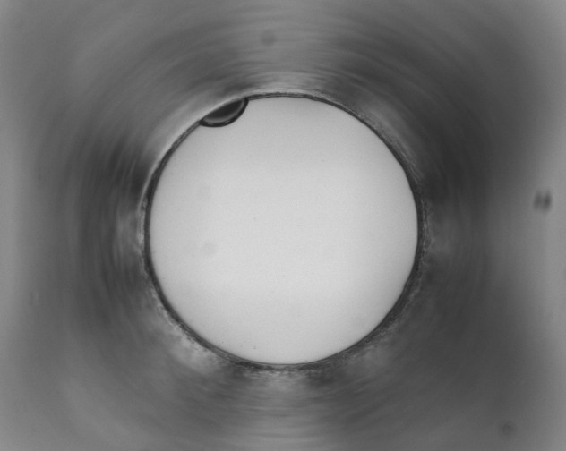 X0000111250900200907231550