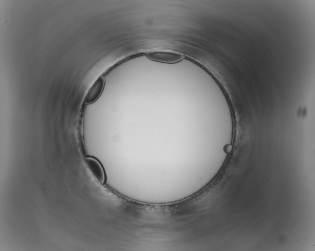 X0000111250901200907231550