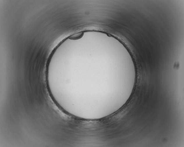 X0000111250902200907231550