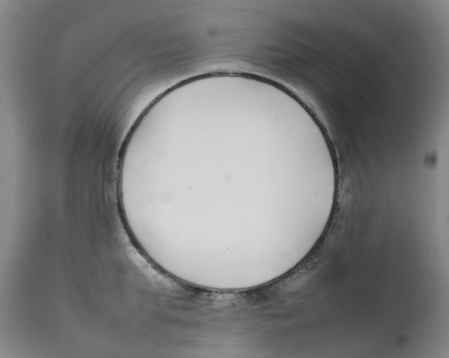 X0000111250903200907231550