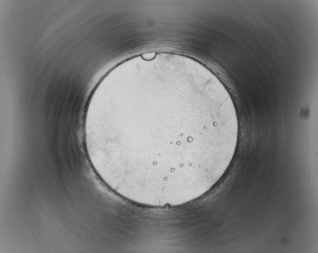 X0000111250904200907231550