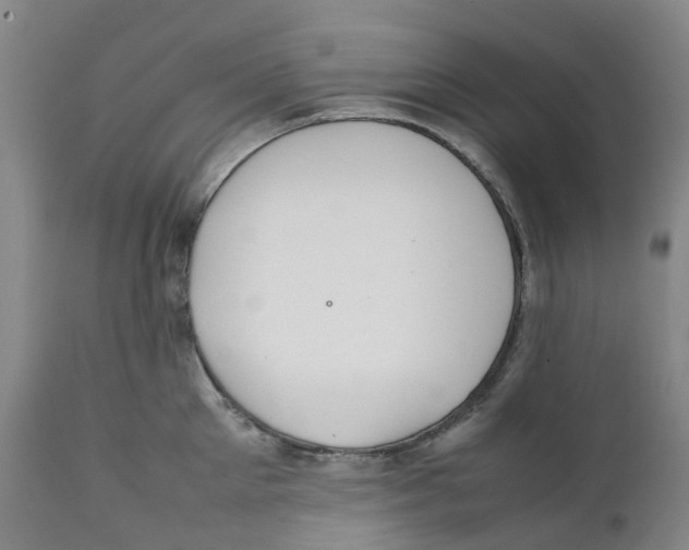 X0000111250905200907231550