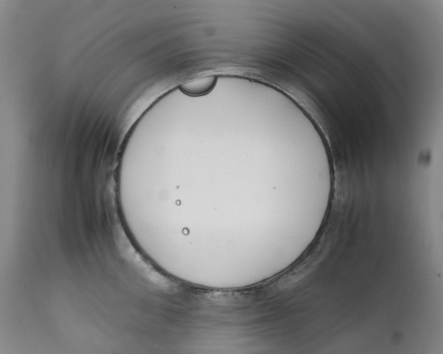 X0000111250906200907231550