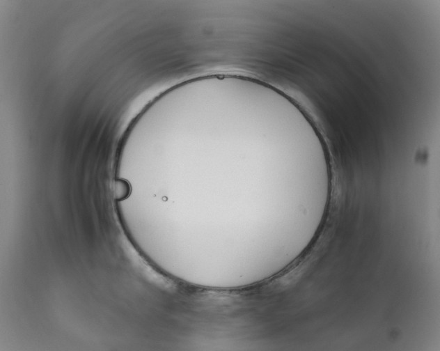 X0000111250910200907231550