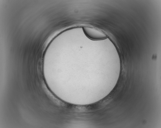 X0000111250911200907231550