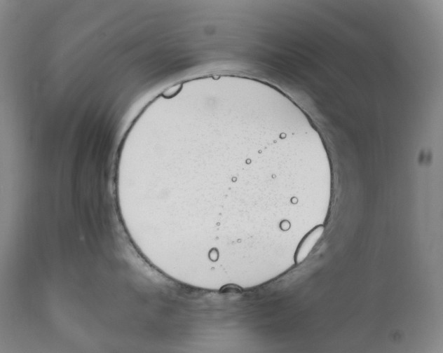 X0000111250912200907231550