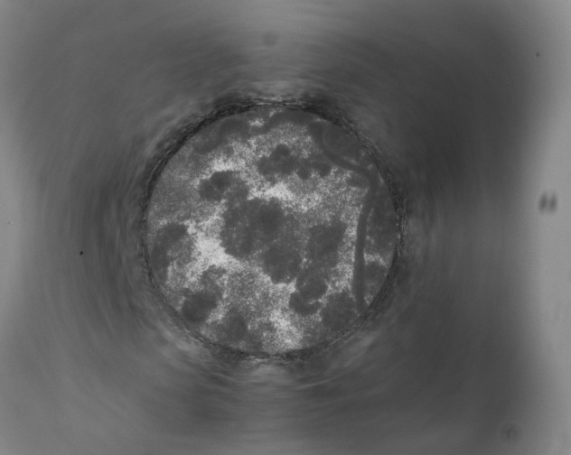 X0000111250913200907231549