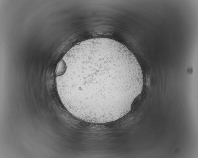 X0000111250915200907231549