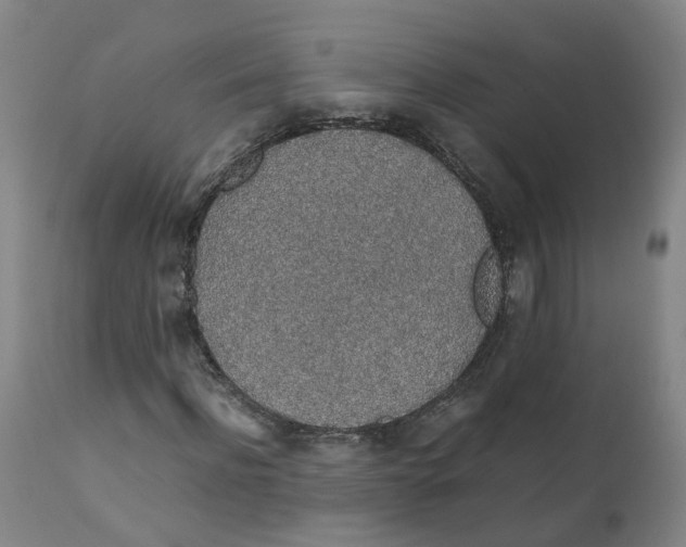 X0000111250916200907231549