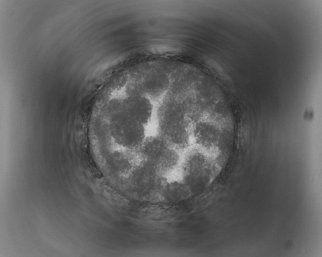 X0000111250917200907231549