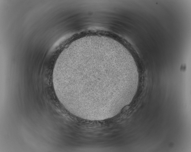 X0000111250919200907231549