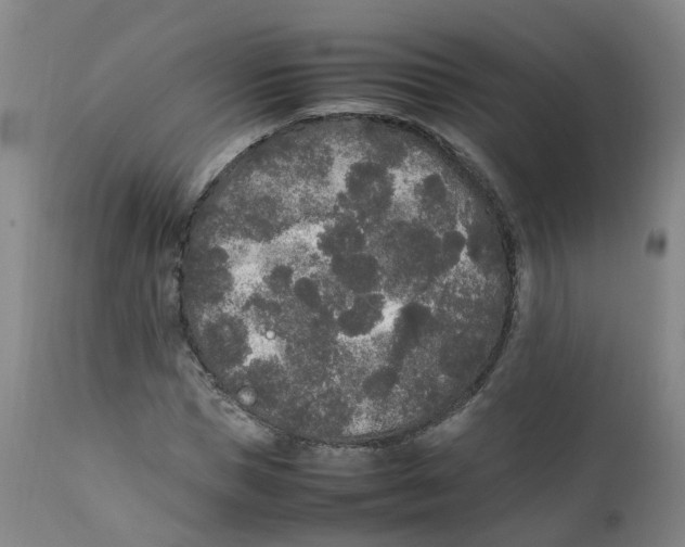 X0000111250921200907231549