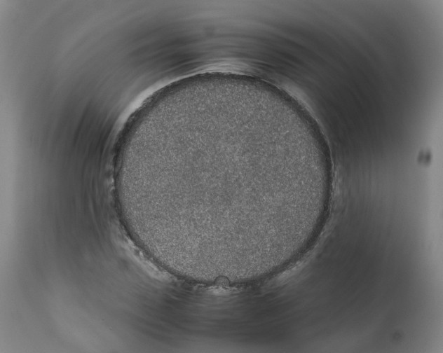 X0000111250923200907231549