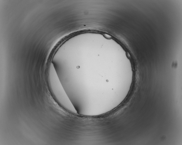 X0000111250924200907231549