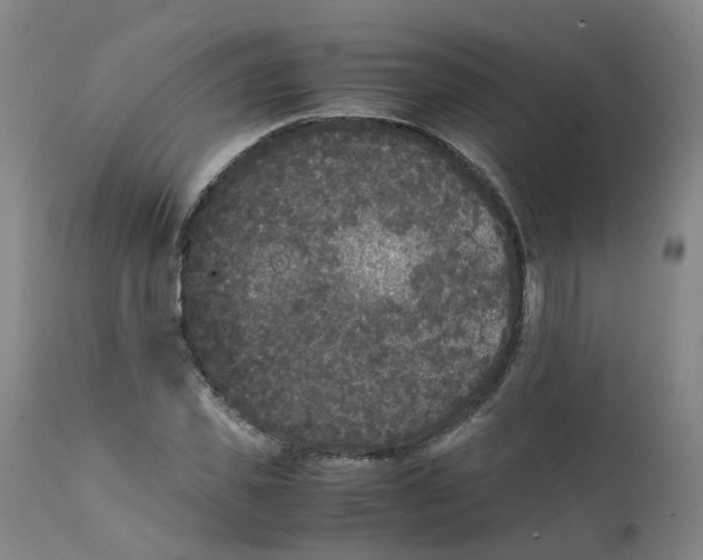 X0000111250925200907231549