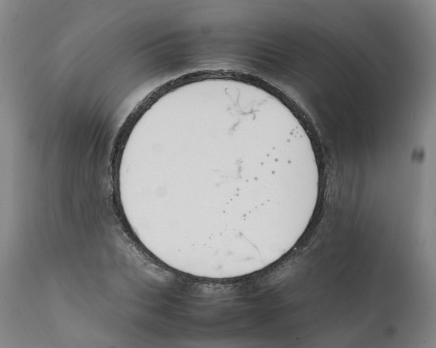 X0000111250927200907231549