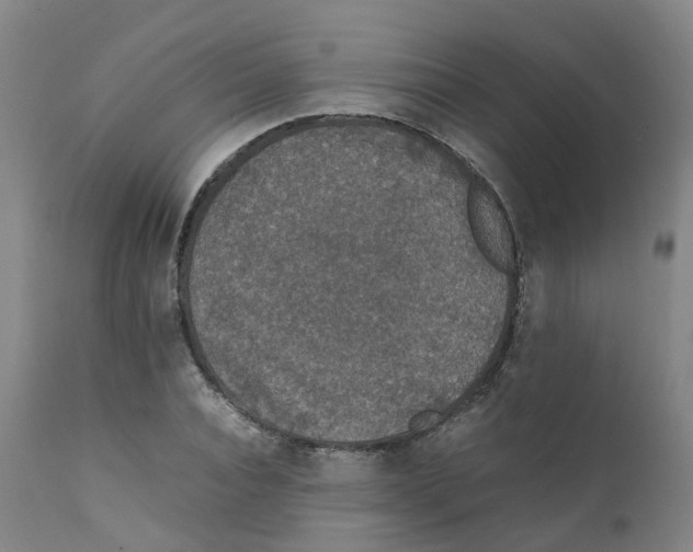 X0000111250928200907231549