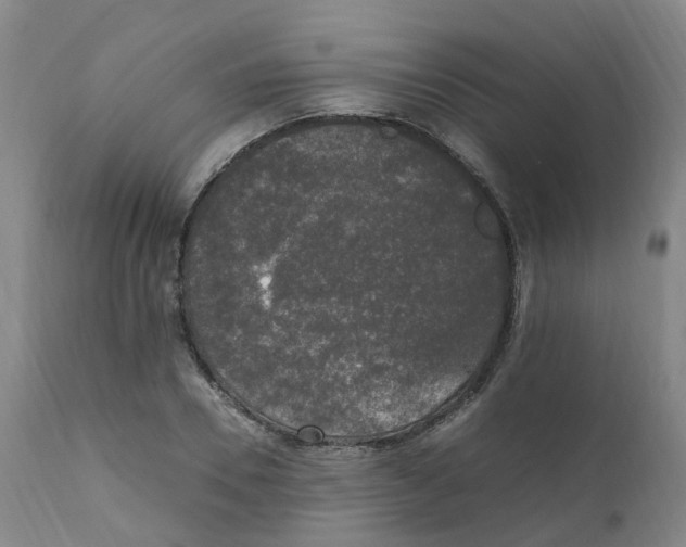 X0000111250930200907231549