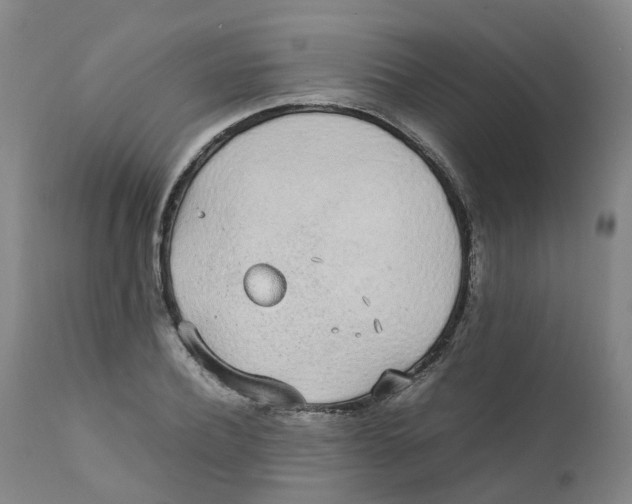 X0000111250932200907231549