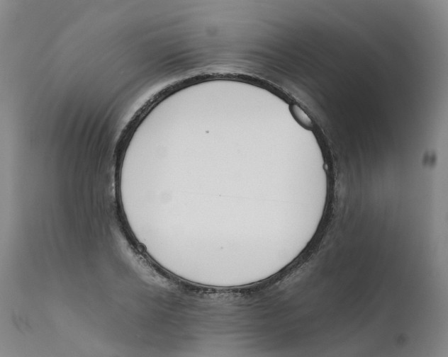 X0000111250934200907231550