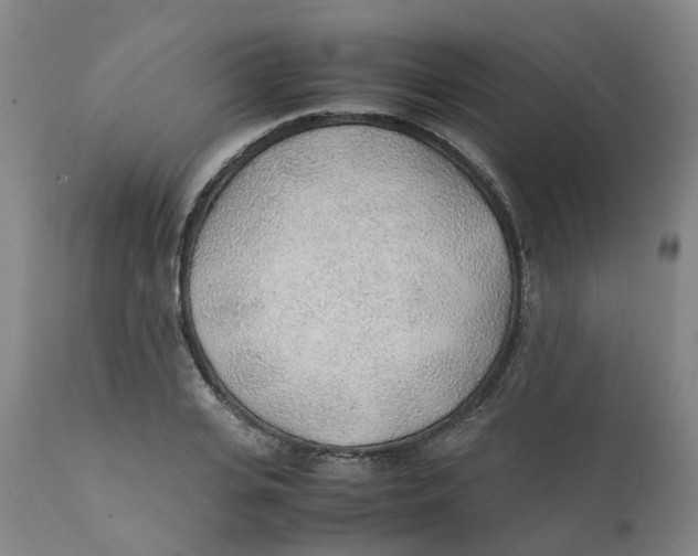 X0000111250935200907231550