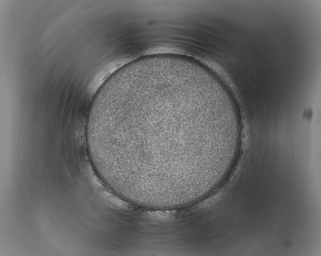 X0000111250937200907231550