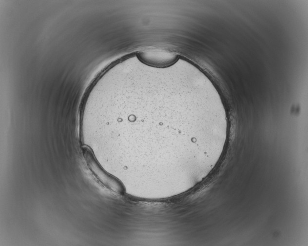 X0000111250940200907231550