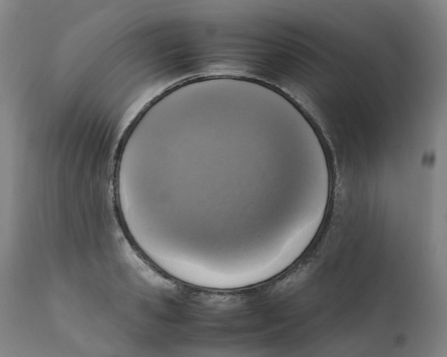 X0000111250941200907231550