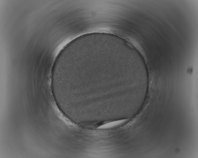 X0000111250944200907231550