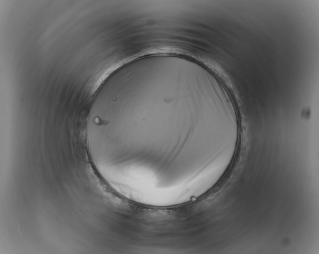 X0000111250945200907231550