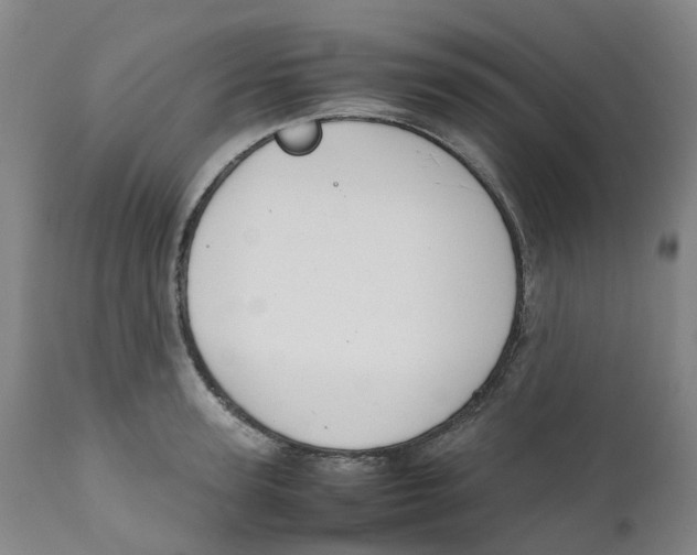 X0000111250947200907231550