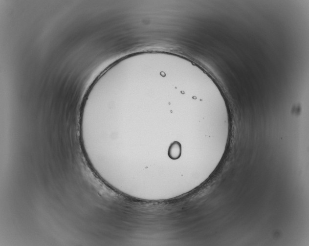 X0000111250948200907231550