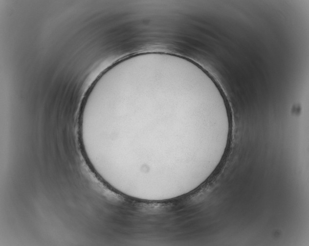 X0000111250949200907231550