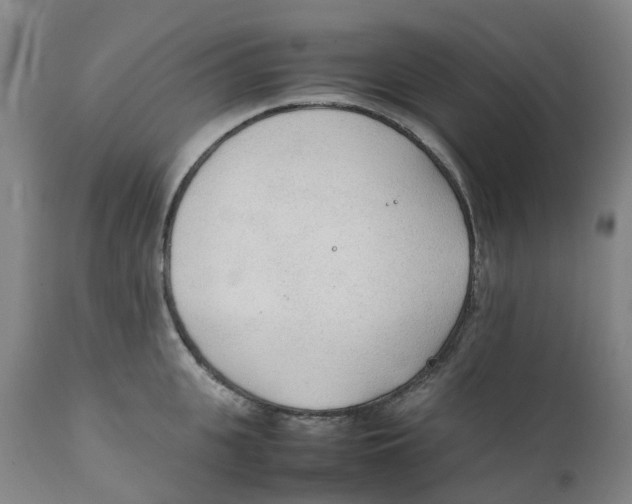 X0000111250951200907231550