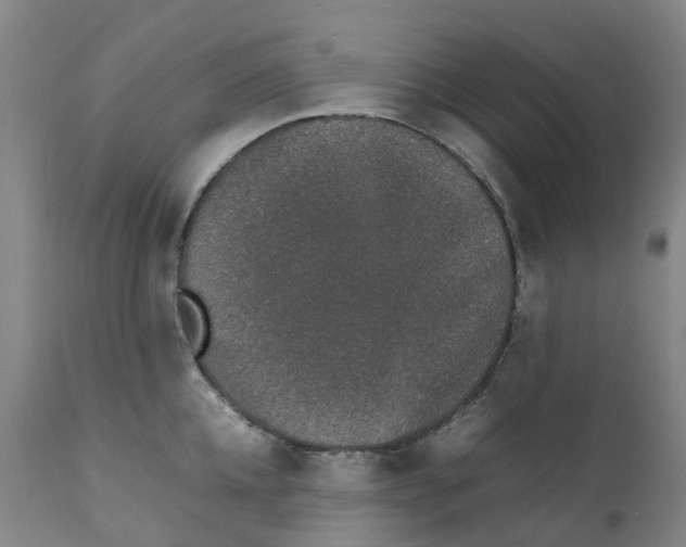 X0000111250952200907231550