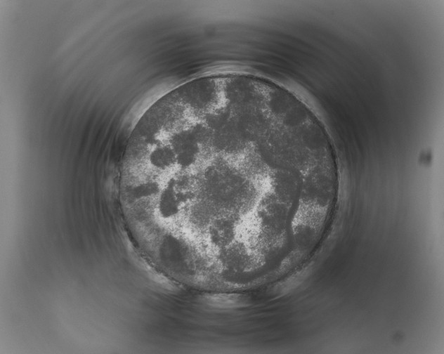 X0000111250953200907231550