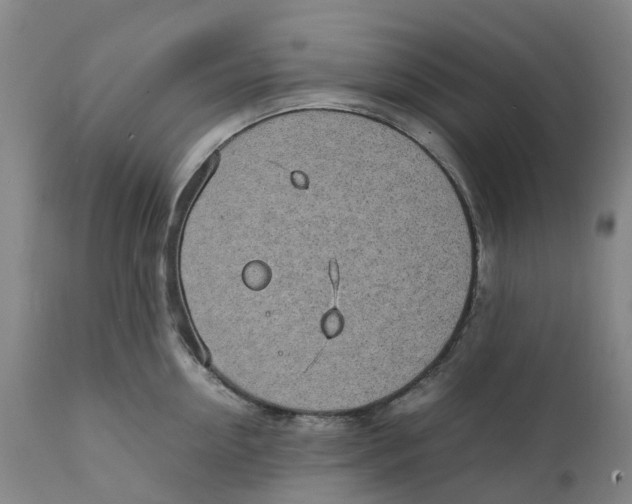 X0000111250954200907231550