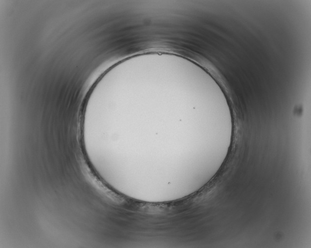 X0000111250955200907231550