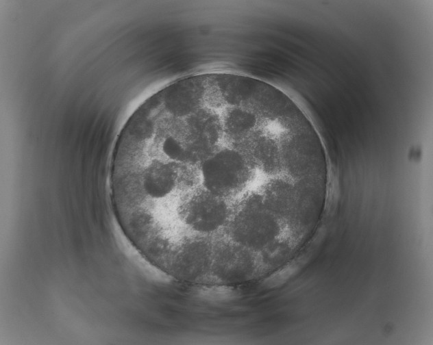 X0000111250957200907231550