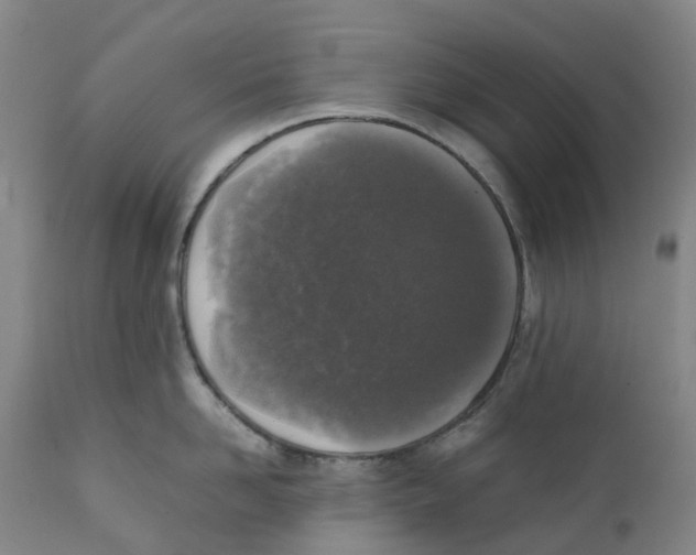 X0000111250958200907231550